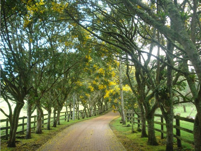 Lote en venta en Yerbabuena, Chía, 10000 m² · foto 2 de 24
