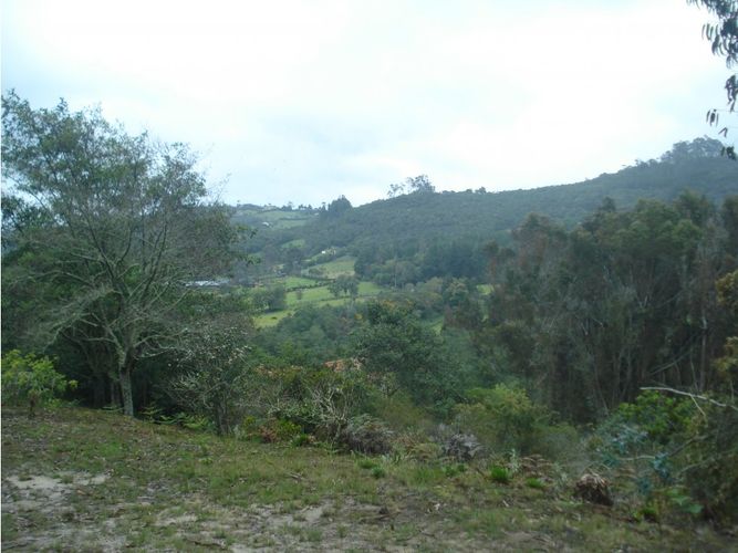 Lote en venta en Yerbabuena, Chía, 10000 m² · foto 6 de 24