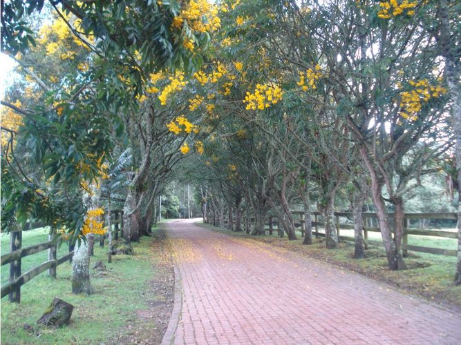 Lote en venta en Yerbabuena, Chía, 10000 m² · foto 9 de 24