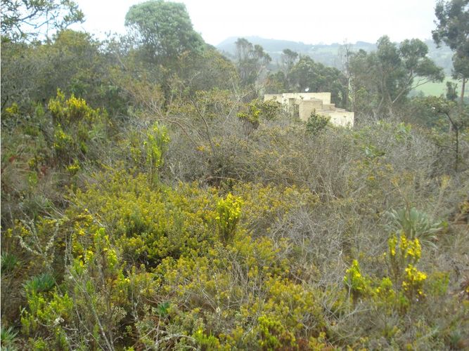 Lote en venta en Yerbabuena, Chía, 10000 m² · foto 10 de 24