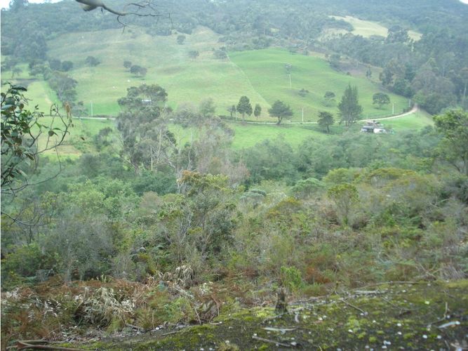 Lote en venta en Yerbabuena, Chía, 10000 m² · foto 11 de 24