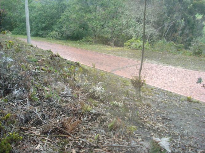 Lote en venta en Yerbabuena, Chía, 10000 m² · foto 12 de 24
