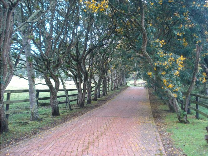 Lote en venta en Yerbabuena, Chía, 10000 m² · foto 13 de 24