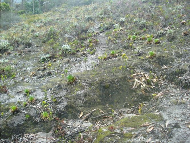 Lote en venta en Yerbabuena, Chía, 10000 m² · foto 14 de 24