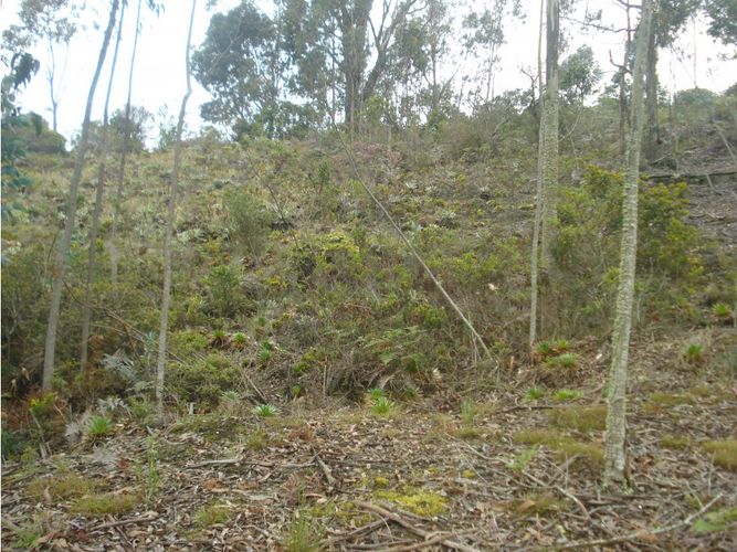 Lote en venta en Yerbabuena, Chía, 10000 m² · foto 15 de 24