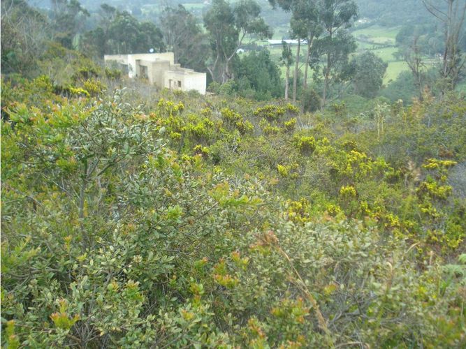 Lote en venta en Yerbabuena, Chía, 10000 m² · foto 17 de 24