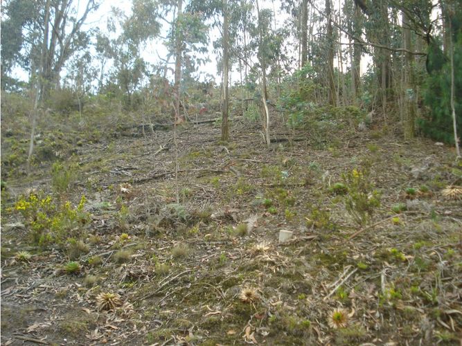 Lote en venta en Yerbabuena, Chía, 10000 m² · foto 18 de 24