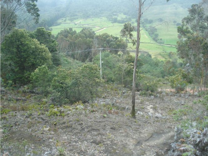 Lote en venta en Yerbabuena, Chía, 10000 m² · foto 22 de 24