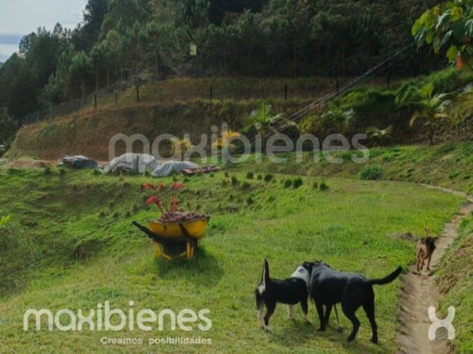 Finca en venta en Monta�Ez, Guarne, 3000 m² · foto 9 de 14