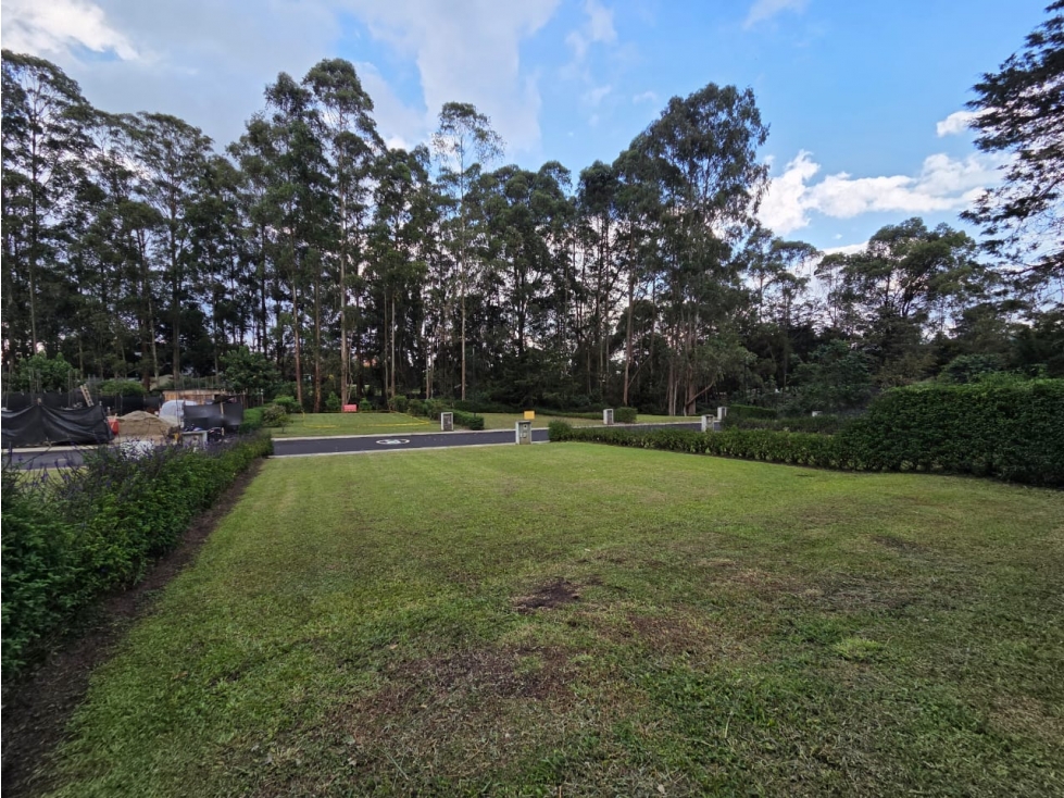 Land in Cabeceras de llanogrande (325 m²) for Sale - 2