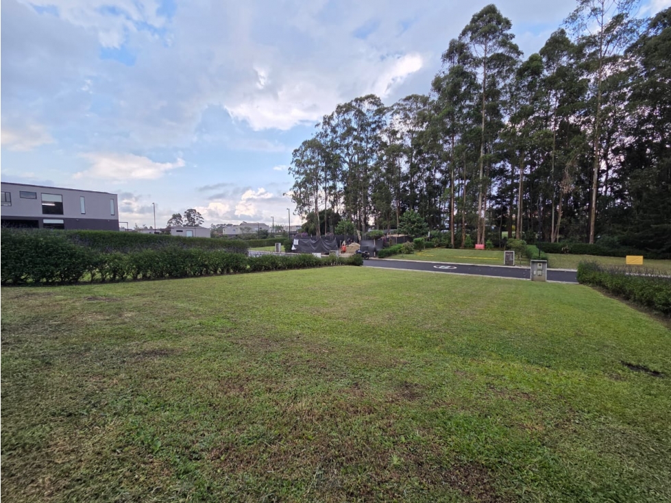 Land in Cabeceras de llanogrande (325 m²) for Sale - 3