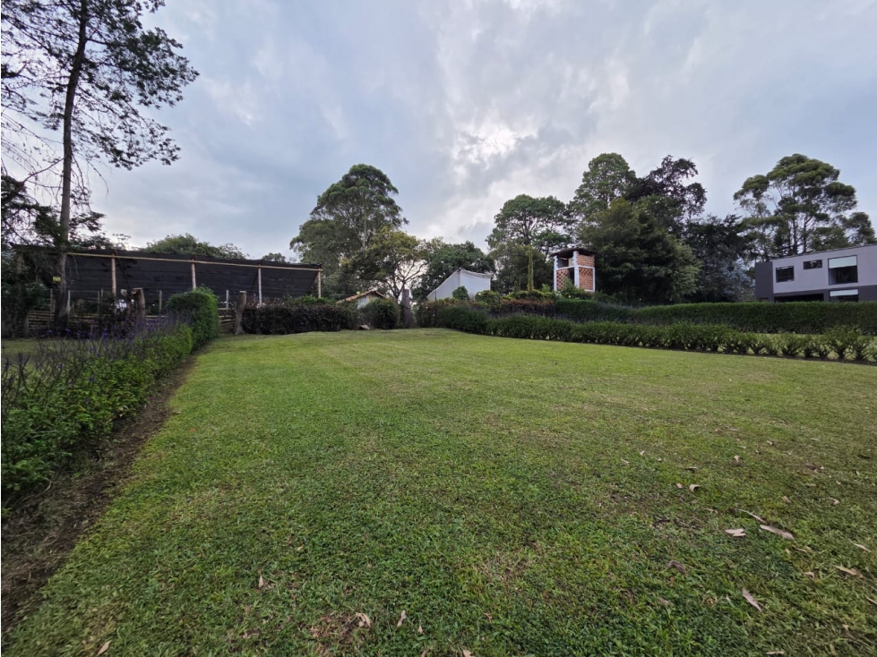 Land in Cabeceras de llanogrande (325 m²) for Sale - 4