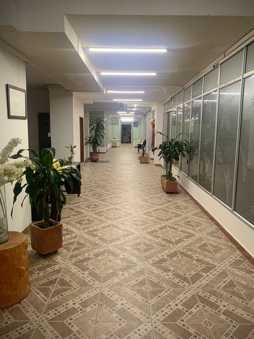 Local en arriendo en Sector Plaza De Bolivar, Pereira, 490 m² · foto 2 de 6