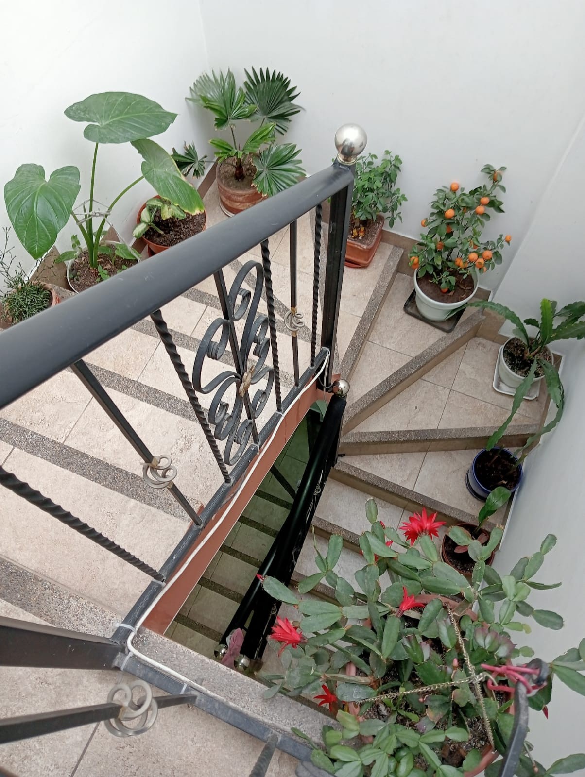 Casa en venta en La Granja, Bogotá · foto 13 de 16