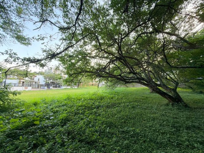 Lote en venta en Pance, Cali, 3038 m² · foto 15 de 22
