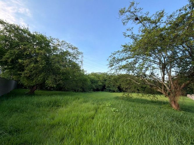 Lote en venta en Pance, Cali, 3038 m² · foto 16 de 22