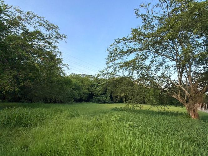 Lote en venta en Pance, Cali, 3038 m² · foto 17 de 22