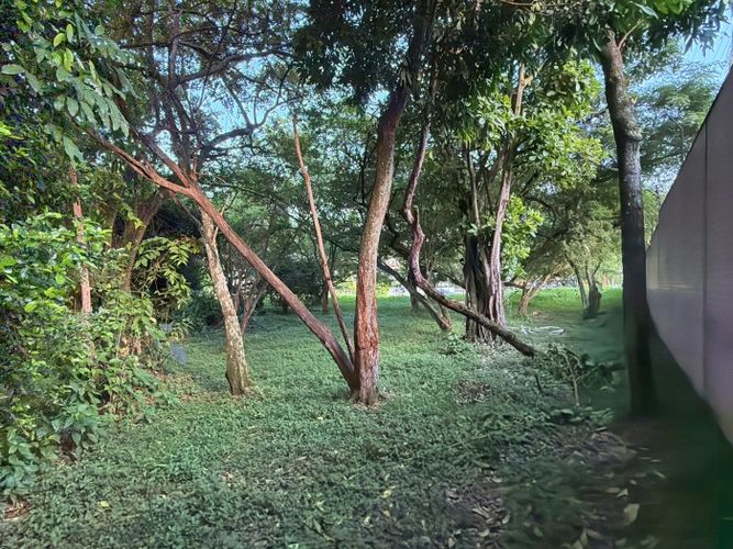 Lote en venta en Pance, Cali, 3038 m² · foto 18 de 22