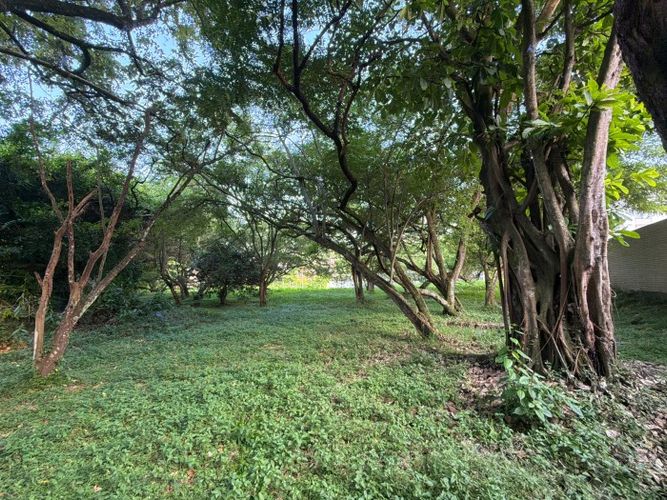 Lote en venta en Pance, Cali, 3038 m² · foto 19 de 22