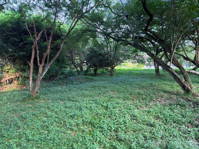 Lote en venta en Pance, Cali, 3038 m² · foto 20 de 22