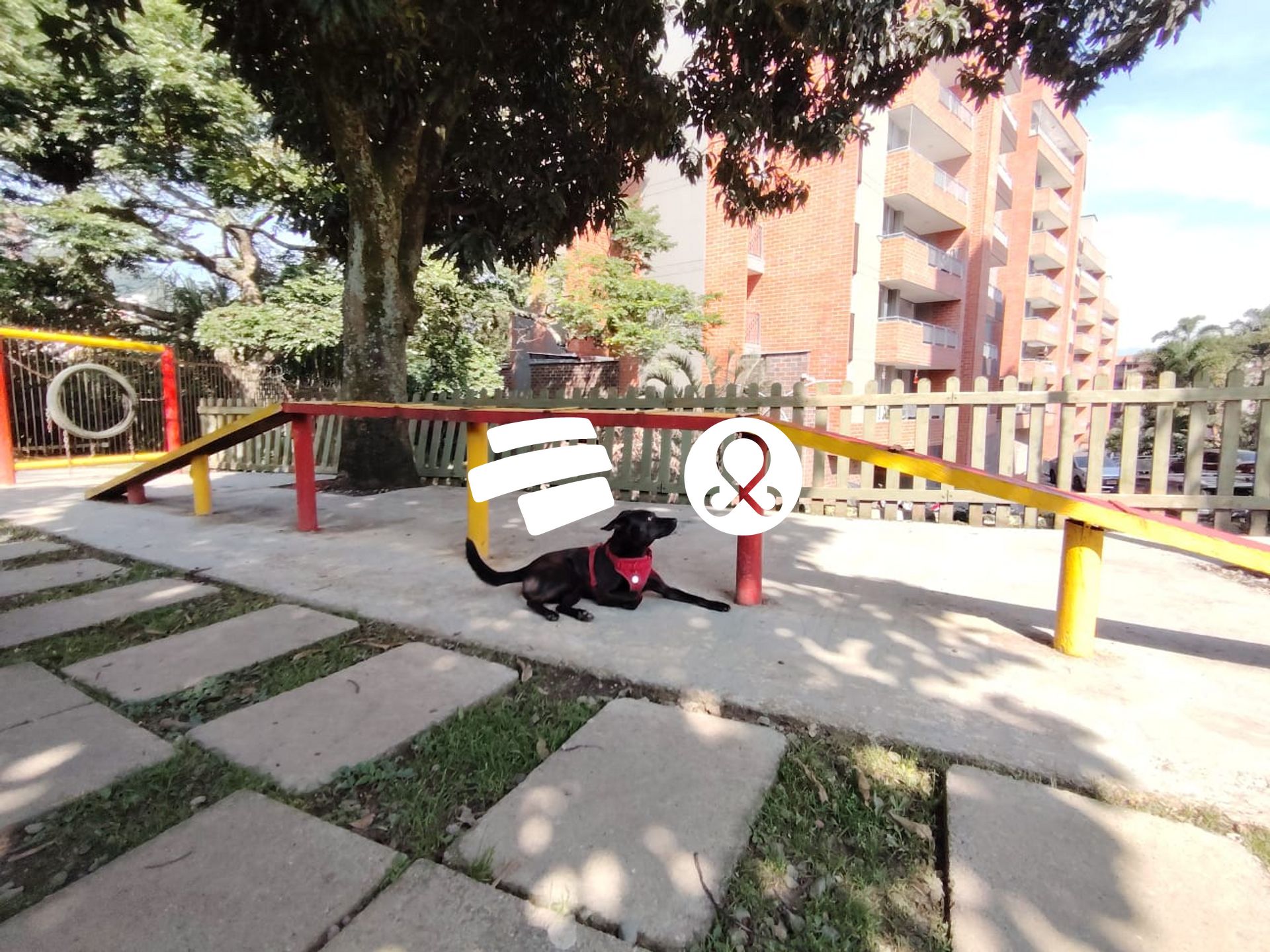 Apartamento en venta en Señorial, Envigado · foto 6 de 24