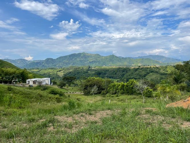 Lote en venta en Cerritos, Pereira, 2500 m² · foto 2 de 8