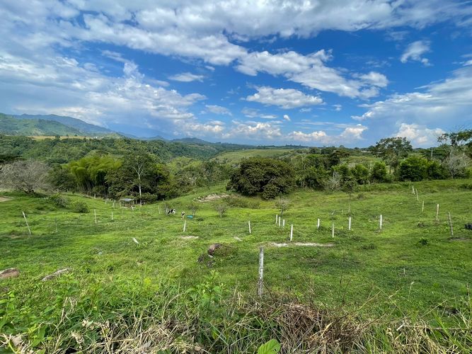 Lote en venta en Cerritos, Pereira, 2500 m² · foto 6 de 8