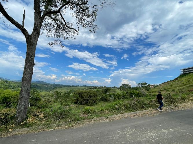 Lote en venta en Cerritos, Pereira, 2500 m² · foto 7 de 8
