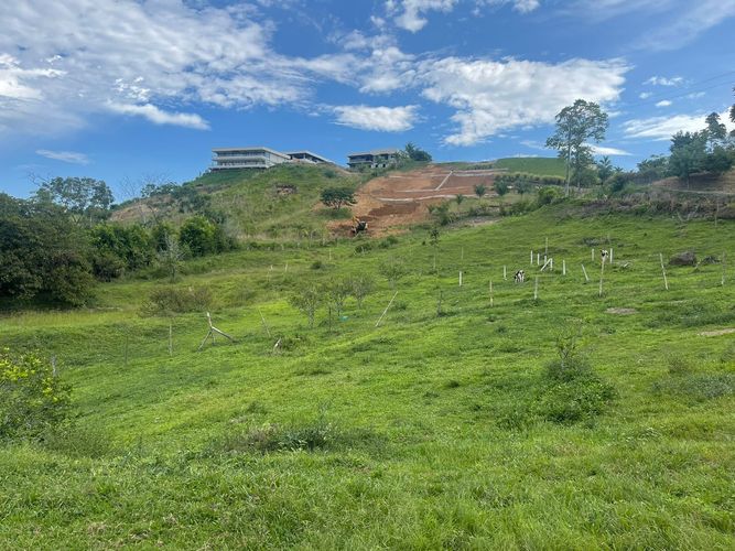 Lote en venta en Cerritos, Pereira, 2500 m² · foto 8 de 8