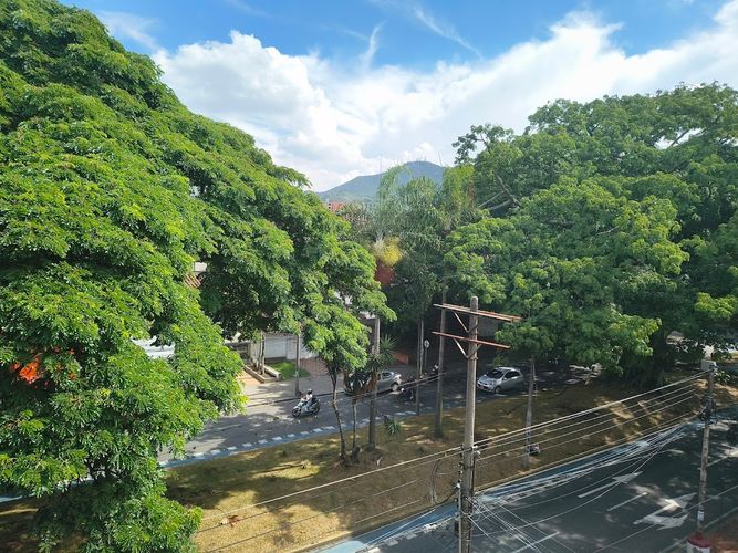 Apartamento de 4 alcobas en venta en La Flora, Cali, 145 m² · foto 5 de 22