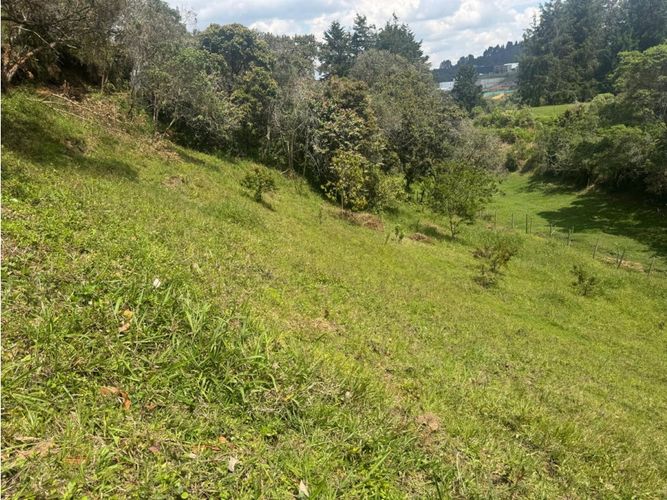 Lote en venta en La Mosquita, Rionegro, 8821 m² · foto 10 de 11