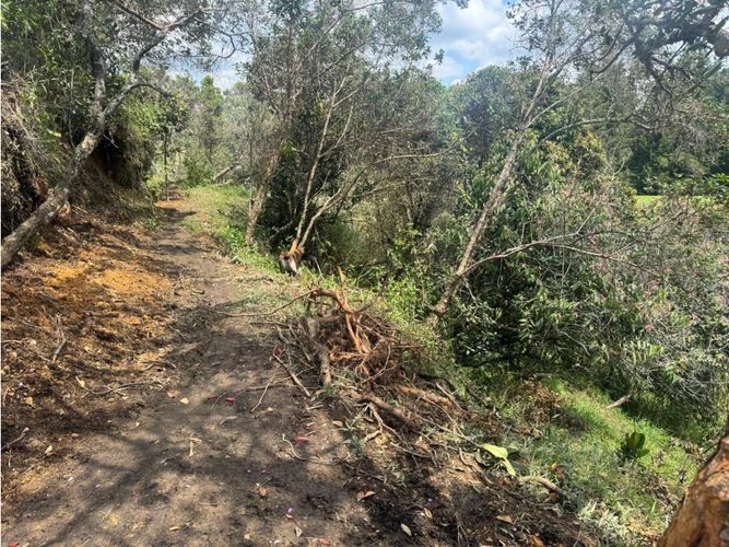 Lote en venta en La Mosquita, Rionegro, 8821 m² · foto 11 de 11