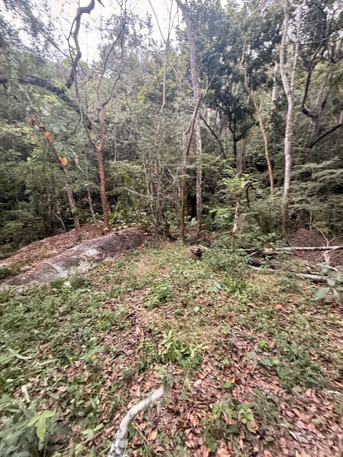 Lote en venta en Corregimiento De Minca, Santa Marta, 2000 m² · foto 12 de 13