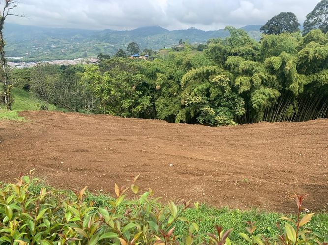 Lote en venta en El Rodeo, Dosquebradas, 8100 m² · foto 5 de 8