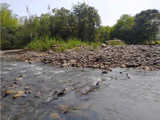 Lote en venta en Potrerito, Jamundí, 1000 m² · foto 6 de 6