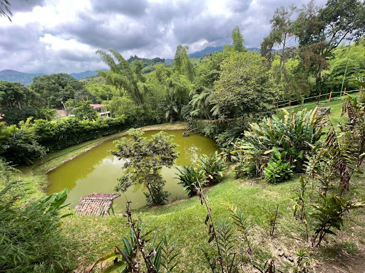 Casa en venta en Combia, Pereira · foto 5 de 22