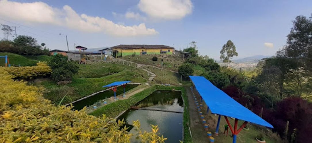Finca en venta en Romelia Alta, Dosquebradas, 3000 m² · foto 2 de 16