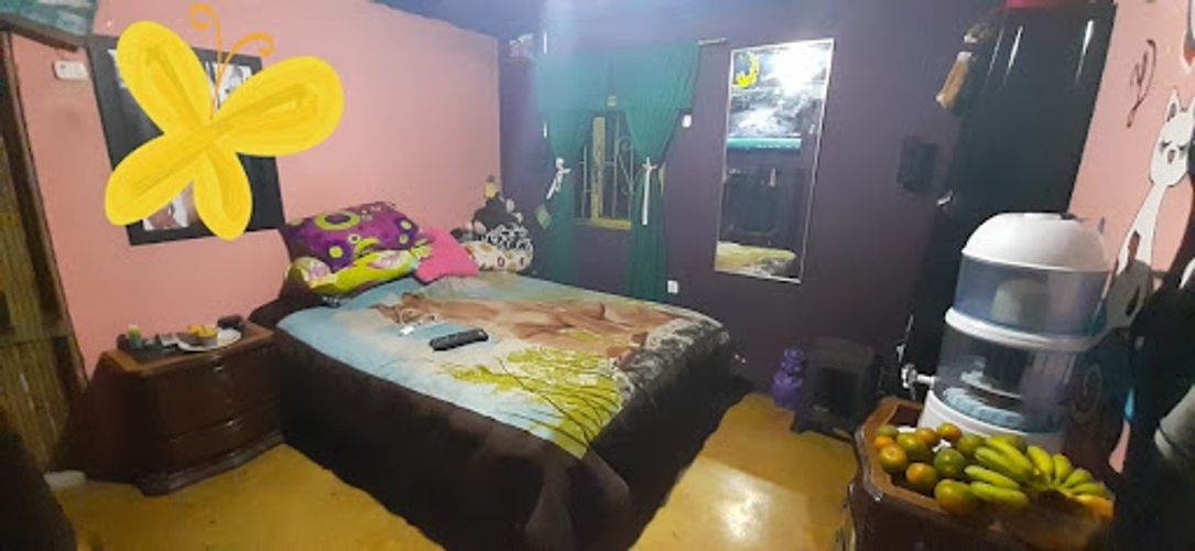 Finca en venta en Romelia Alta, Dosquebradas, 3000 m² · foto 5 de 16