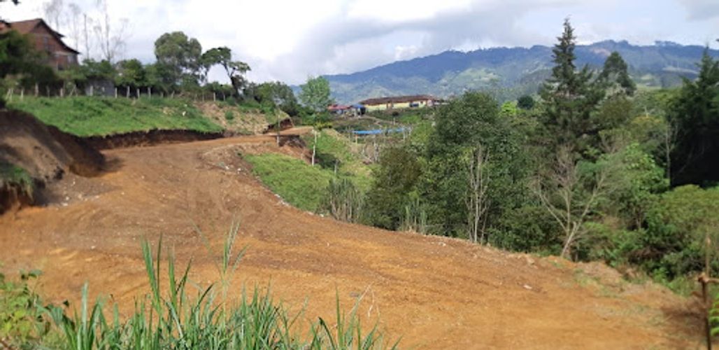 Finca en venta en Romelia Alta, Dosquebradas, 3000 m² · foto 11 de 16