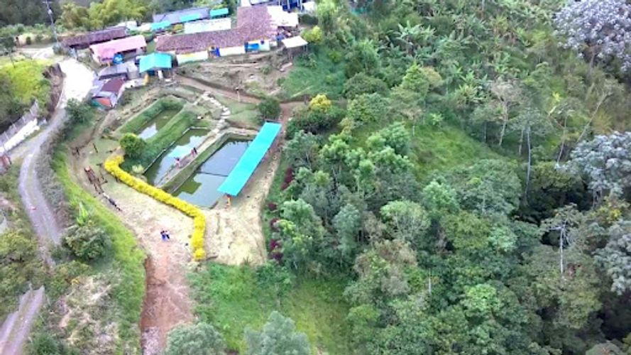Finca en venta en Romelia Alta, Dosquebradas, 3000 m² · foto 15 de 16