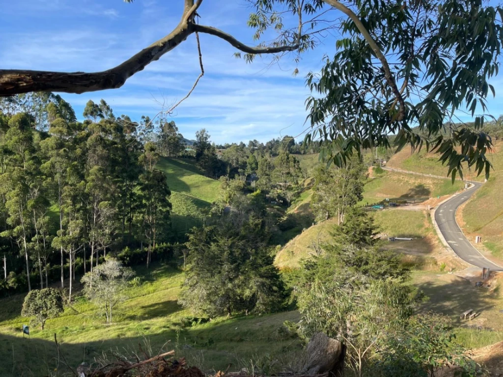 Land in Lejos del nido (4800 m²) for Sale - 3