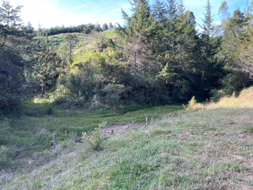 Land in Lejos del nido (4800 m²) for Sale - 4