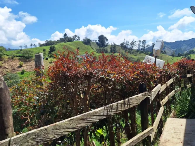 Finca en venta en San Gerardo, La Ceja, 75 m² · foto 6 de 20