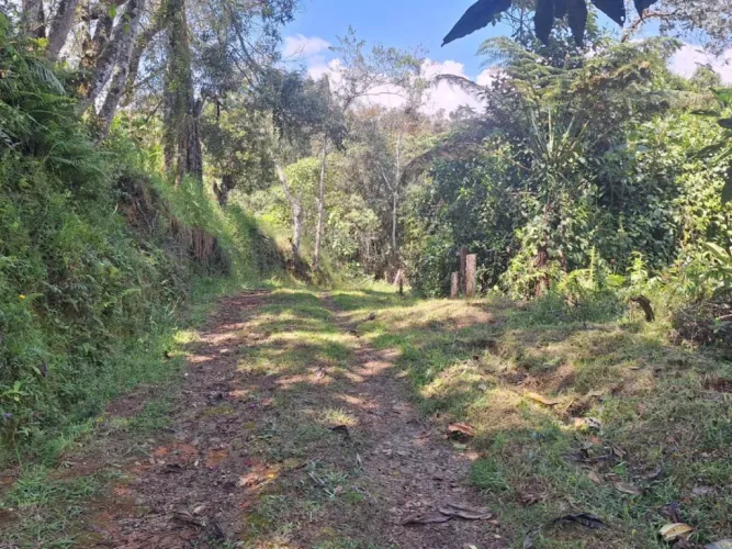 Finca en venta en San Gerardo, La Ceja, 75 m² · foto 7 de 20