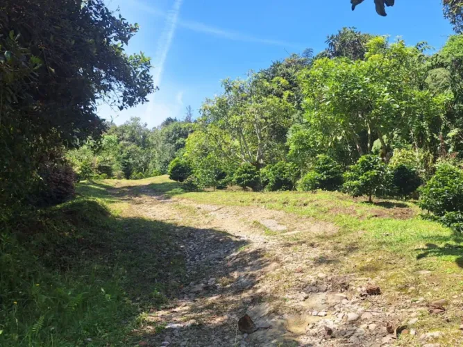 Finca en venta en San Gerardo, La Ceja, 75 m² · foto 8 de 20