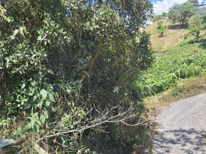 Finca en venta en San Gerardo, La Ceja, 75 m² · foto 13 de 20