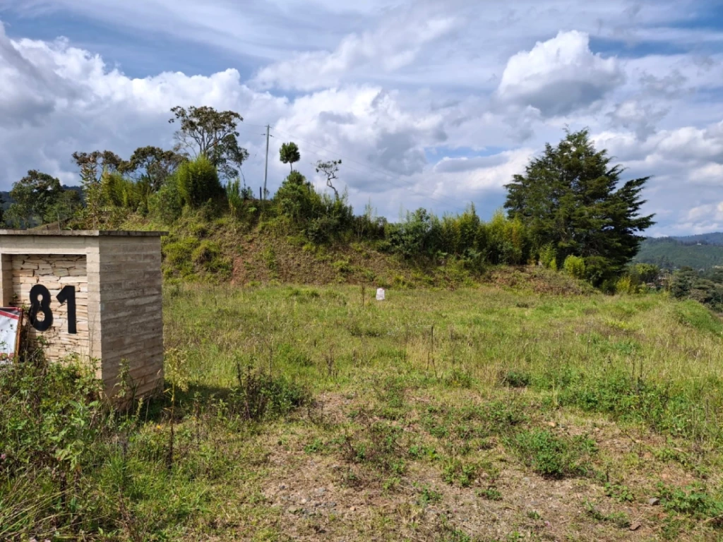 Land in Santa Elena (1768 m²) for Sale - 2