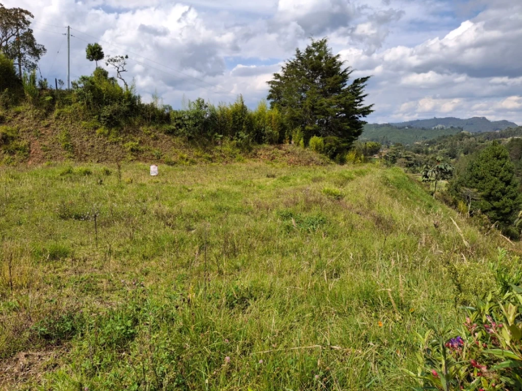 Land in Santa Elena (1768 m²) for Sale - 3