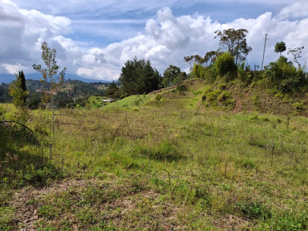 Land in Santa Elena (1768 m²) for Sale - 4