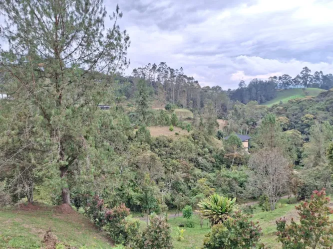 Lote en venta en Pantanillo, El Retiro, 10000 m² · foto 2 de 13